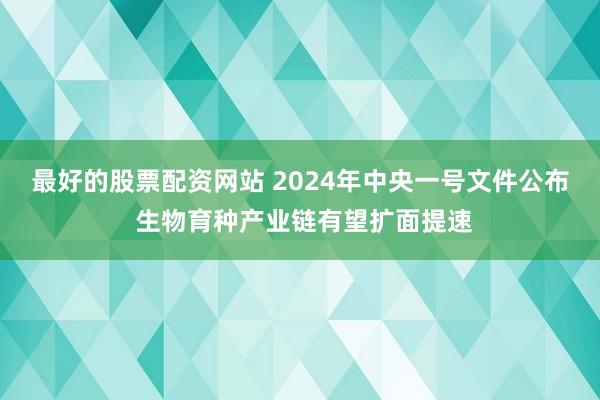 最好的股票配资网站 2024年中央一号文件公布 生物育种产业链有望扩面提速