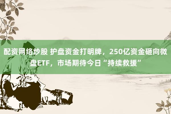 配资网络炒股 护盘资金打明牌，250亿资金砸向微盘ETF，市场期待今日“持续救援”